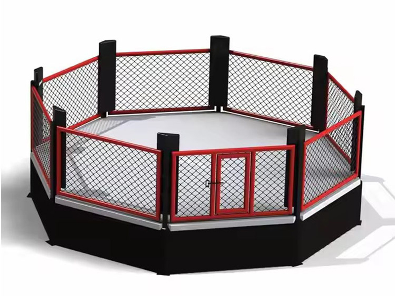 มีอะไรอยู่ข้างใน MMA Octagon จริงๆ?